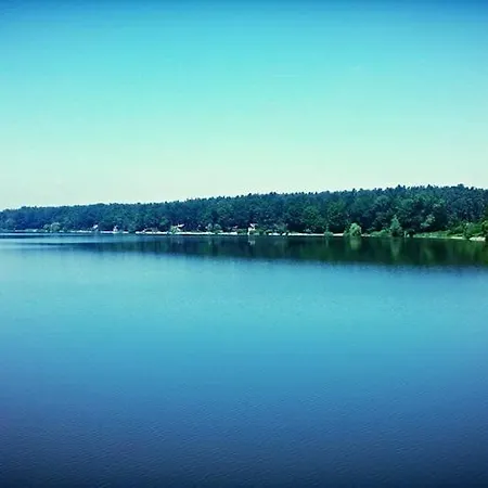 Třeboňsko - Rybník Dvořiště - Smržov